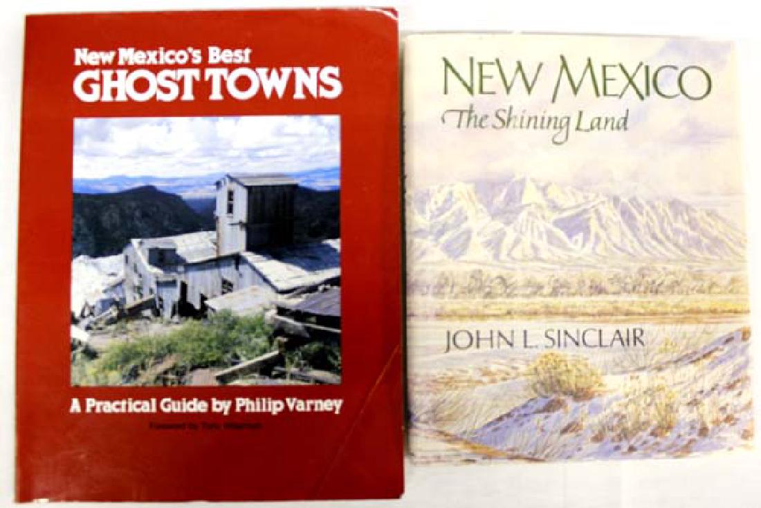 2 Books on The Land of Enchantment, New Mexico (1 of 7)