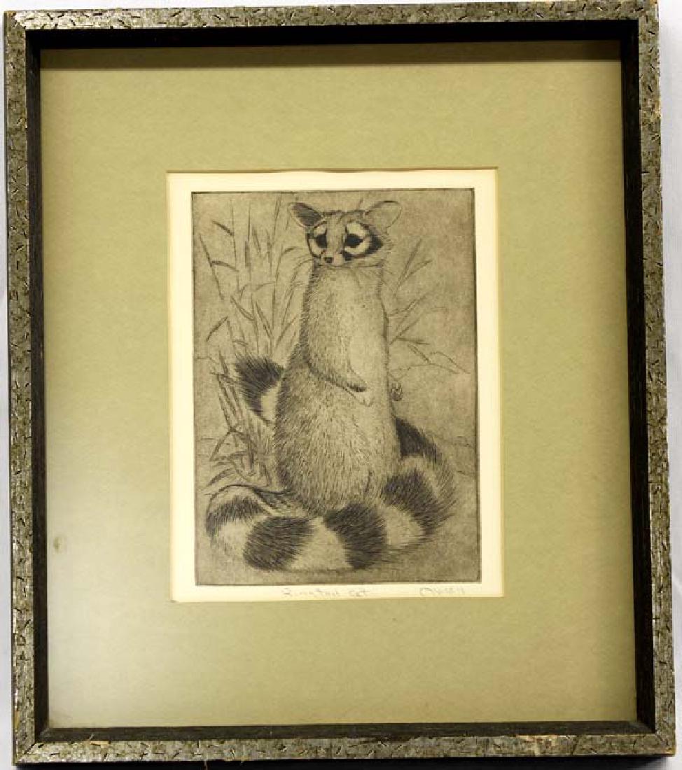Vintage Ringed Tail Cat Etching Print by Oman (1 of 4)