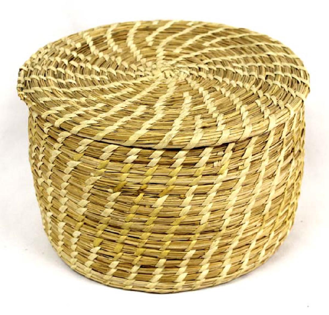 Large Native American Tohono O'odham Lidded Basket (1 of 4)