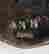 item-56523411=4