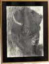 Original Framed Buffalo Pastel by Barbara Sandler