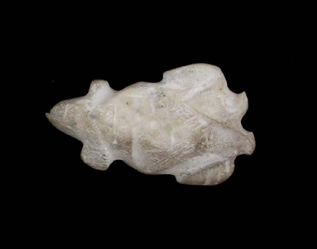 Prehistoric Hohokam Shell Horned Toad Fetish (1 of 2)