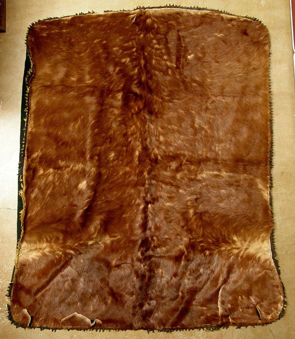 1456 Antique Cow Hide Lap Robe by Cownie Tanning Co.