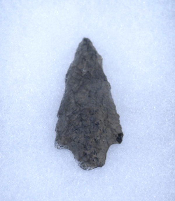 Obsidian Arrowhead From Klamath City, OR: Obsidian Arrowhead From Klamath County, Oregon. Measures 1.5'' long. SHI $15.