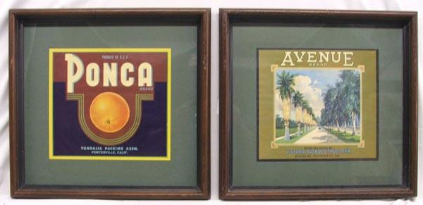 2 1930s Framed Citrus Crate Label: 2 1930's Framed Citrus Crate Label. Framed in a wood frame, matted, under glass. Measures approx. 9 1/2'' x 10 1/2''. SHI $25.