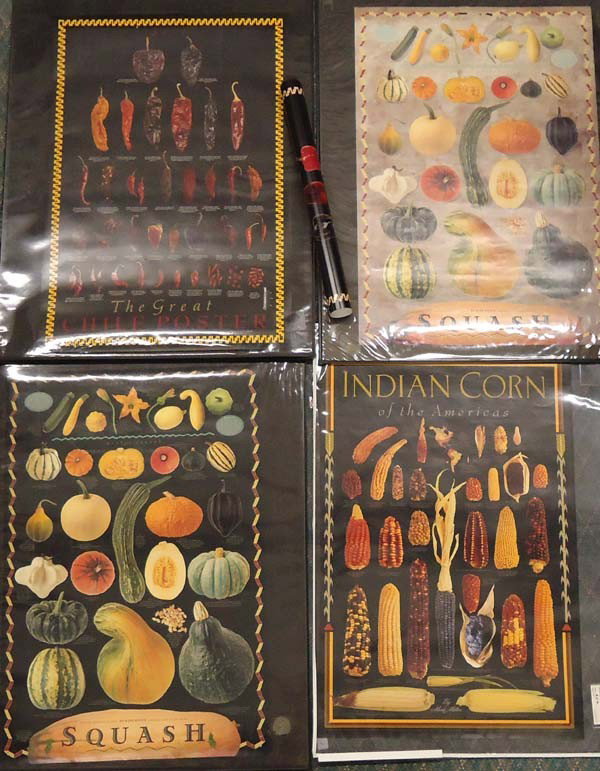 5 Vegetable Prints By Mark Miller: 5 Vegetable Prints By Mark Miller. 2 Posters with Chilies, 2 Posters with Squash and 1 Poster with Corn all by Mark Miller. Largest measures approx. 36'' x 24''. Buyers Pay Actual Shipping and Handlin