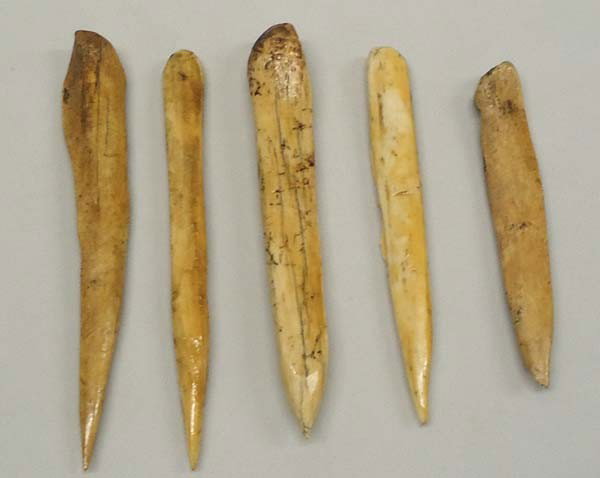 5 Pre-Historic Bone Awls: 5 Pre-Historic Bone Awls. Longest measures approx. 4''. Buyers Pay Actual Shipping and Handling Charges(see terms and conditions for more information).