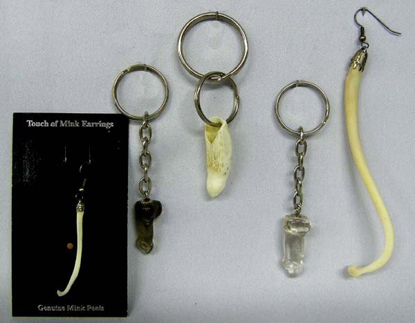 Phallus Paraphernalia: Phallus Paraphernalia. 3 Phallus key chains, 1 Mink Penis Bone Earring and 1 Unidentified Animal Penis Bone Earring. Buyers Pay Actual Shipping and Handling Charges(see terms and conditions for more i