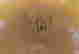 item-8649996=2