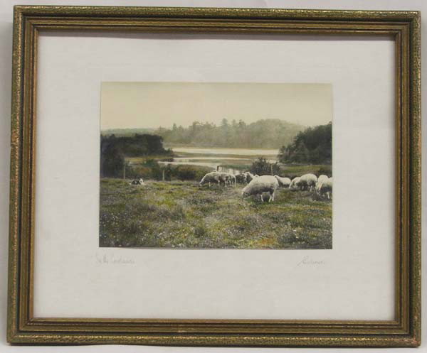 Framed Hand Colored Photograph by Burrowes: Framed Hand Colored Photograph by Burrowes, ''In the Lowlands''. Visual measures approx. 6.75''Hx9.5''W., Frame measures approx. 13.5''Hx16.5''W. Buyers Pay Actual Shipping and Handling Charges(see te