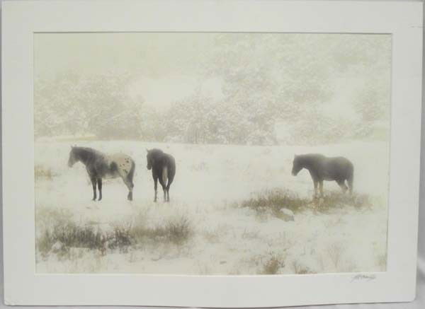 Robert Medina Cook Archival Pigment Print: Robert Medina Cook Archival Pigment Print. Horse in the snow. Artist from Silver City New Mexico, signed in pencil on matting. Visual measures approx. 16''H x 24''W. Mounted on foam board, needs some