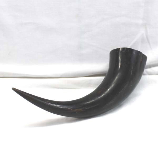 1927 Vintage Buffalo Horn from Awalt Estate: Vintage Buffalo Horn. Measures 12'', dark brown/black. Note enclosed inside horn: ''Given to me by Frank Colenson in 1927. He picked it up on the range near Clarinton, TX''. Buyers Pay Actual Shipping
