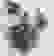 item-11602646=4