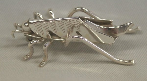 Navajo Sterling Silver Cricket Pin - T. Yazzie: Native American Navajo Sterling Silver Cricket Pin - Tim Yazzie. Wonderful cricket pin, looks ready to jump! Measures approx. 1 3/4''L x 1/2''W.