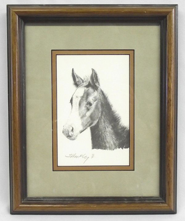 Framed Signed Print Foal - Robert Shoofly Shufelt: Framed Signed Print Foal - Robert ''Shoofly'' Shufelt. Extraordinary lifelike pencil drawing by famous artist best known ''Shoofly''. This one has a visual measurement of 6.25''H x 4''W and is under a