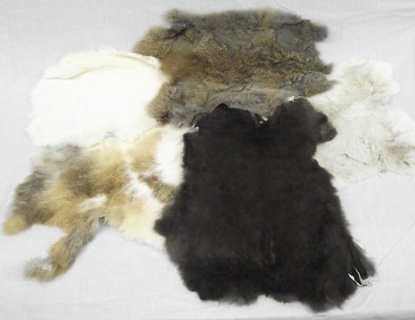 Rabbit Skins: From the Collection of Nick and Suzanne Nicholas. Rabbit Skins, largest measures 18 in. x 14 in.