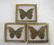 Collection 3 Giant Blue Morpho Didius Butterflies - 3