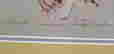 item-21142041=3