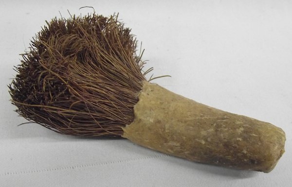 Hupa Indian Hupa Brush: Hupa Indian Hupa Brush, measures 5''L x 3''W, handle made of dried hide, Hupa, also spelled Hoopa, is a Native American tribe in northwestern California. Their autonym is Natinixwe, also spelled Natin