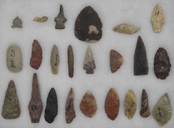 Arrowhead and Tool Collection in Riker Box: Arrowhead and Tool Collection in Riker Box. Largest 2..25'' x 3''. One small animal jaw bone with teeth. A wonderful starter gift or to add to a collection.
