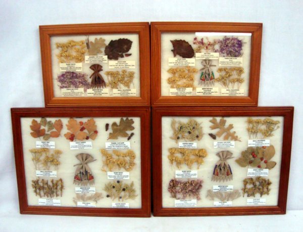 4 Navajo Framed Vegetation Medicine Sampler Charts: 4 Navajo Framed Vegetation Medicine Sampler Charts. Fully framed and under glass these plant charts also have an example of the medicine bag they would be carried in. the 2 Large Samplers measure appr