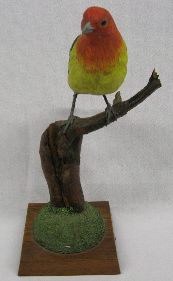 Hand Carved Wooden Oriole Bird - JC Reed 1897-1984: Hand Carved Wooden Oriole Bird on Stand by artist James Corbett Reed (1897-1984). Hand Carved Oriole Bird by Reed, measures 9.5''H x 5.75''W x 4''D.