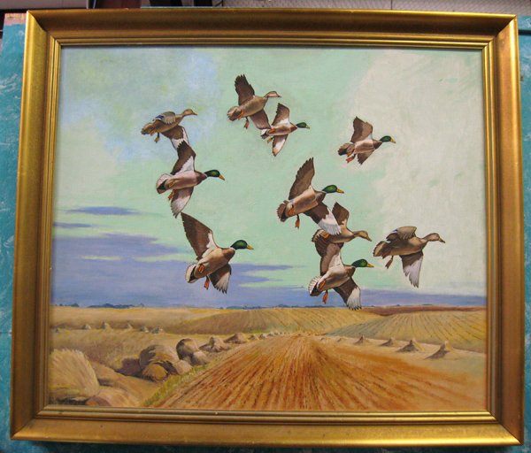 Original Oil Duck Painting by JC Reed (1897-1984): Original Oil Duck Painting by James Corbett Reed (1897-1984), measures 21.5''H x 25.5''W.