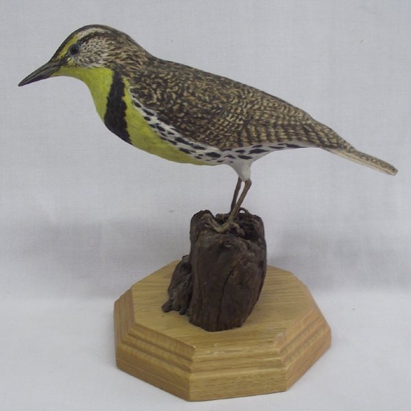 Hand Carved Meadow Lark Bird - JC Reed (1897-1984): Hand Carved Meadow Lark Bird by James Corbett Reed, measures approx. 8.5''H x 10.5''L. Bird is sitting on a wooden stand