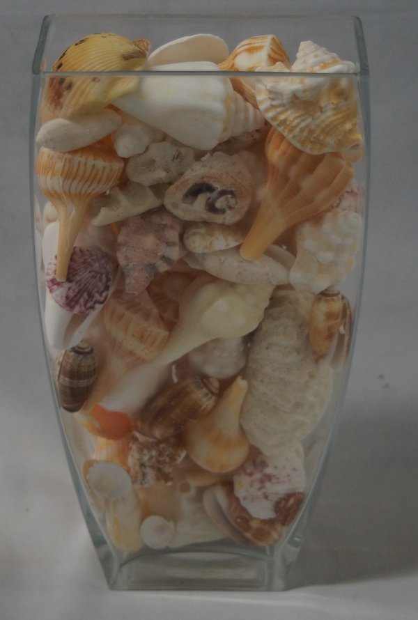 Glass Vase Filled With Seashells: Glass Vase Filled With Seashells, vase measures 12''H x 6''W x 3''Deep