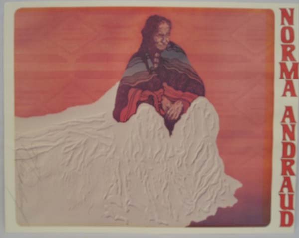 Signed Native American Woman Print by N. Andraud: Signed Native American Elder Woman Print by Norma Andraud, signed by artist in pencil on right side, measures 21'' x 18'', will be rolled to ship