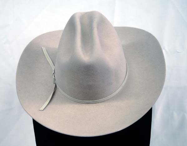 bailey beaver hat
