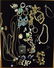Collection of Estate Costume Jewelry
