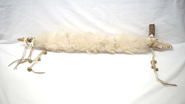 Native American Plains Indian Coyote Skull Pipe: Native American Plains Indian Coyote Skull Pipe, measures 27''L x 5''H, antler bowl, sheep's wool wrapped stem, and leather and bead embellished mouthpiece