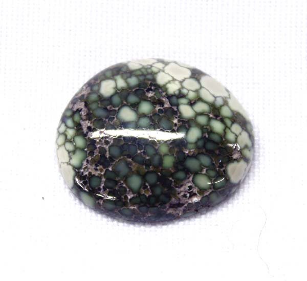 Beautiful Polished Demale Turquoise Cabochon (1 of 2)
