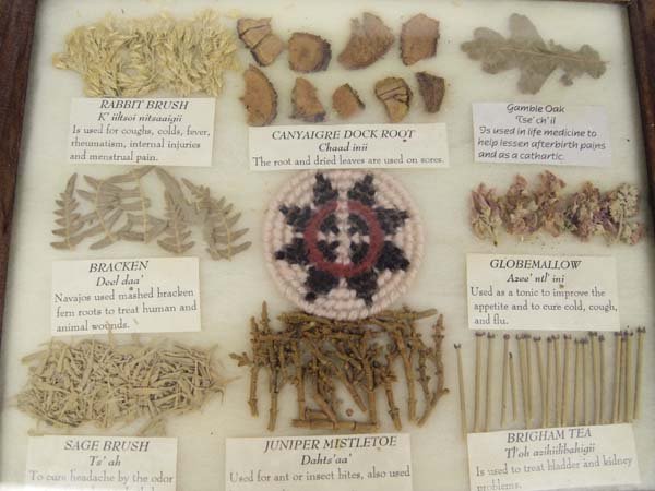 Navajo Framed Medicinal Plants & Herbs Display (1 of 4)