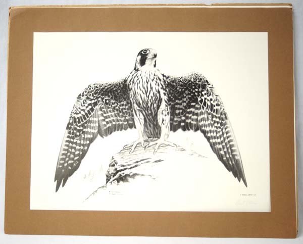 Peregrine Falcon Signed & Numbered Print by Katona: Peregrine Falcon Signed & Numbered Print by Robert Katona 116/500, measures 12.5''H x 16.5''W, FYI: ''Based in New York for seven years, he created a form of computer art, Techism, made with colored p