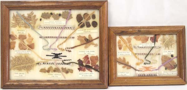 2 Framed Native American Navajo Dye Charts (1 of 3)