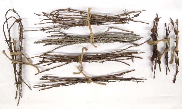 Collection of New Mexico Barbed Wire Strands (1 of 5)