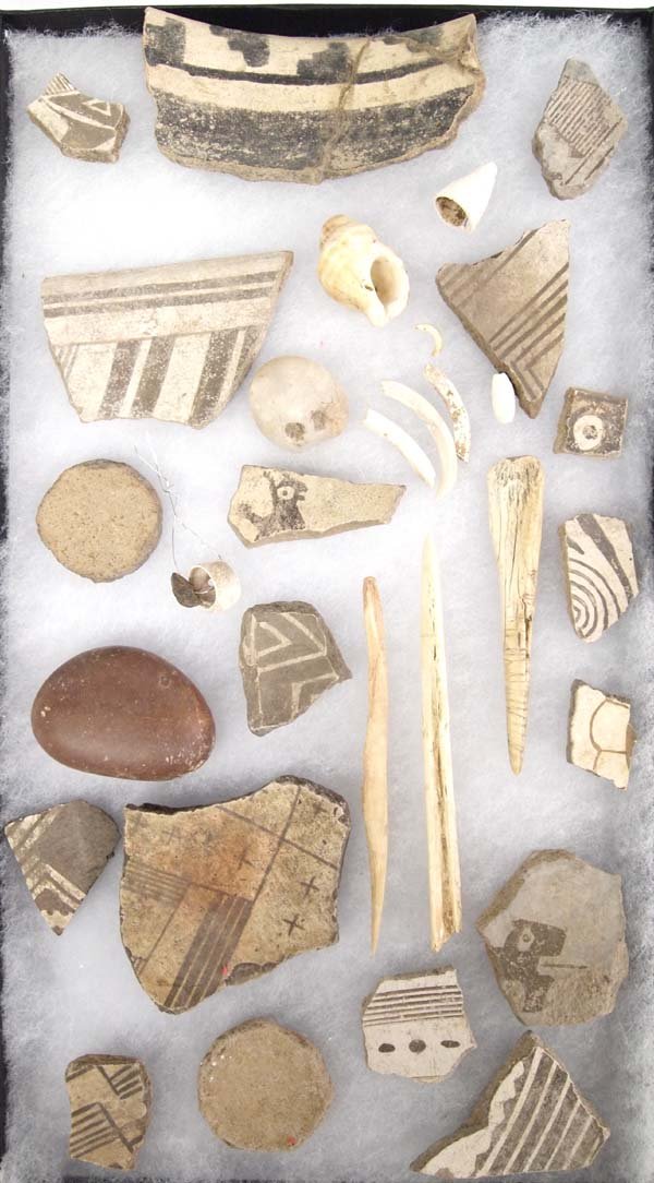 Prehistoric Mimbres Pottery Sherds and Findings: Prehistoric Native American Mimbres Pottery Sherds and Findings, found on Mangas Ranch in New Mexico, includes pottery sherds, burnishing stone, shell bracelet fragments, bone awls, shells and shell p
