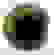 item-49261442=3