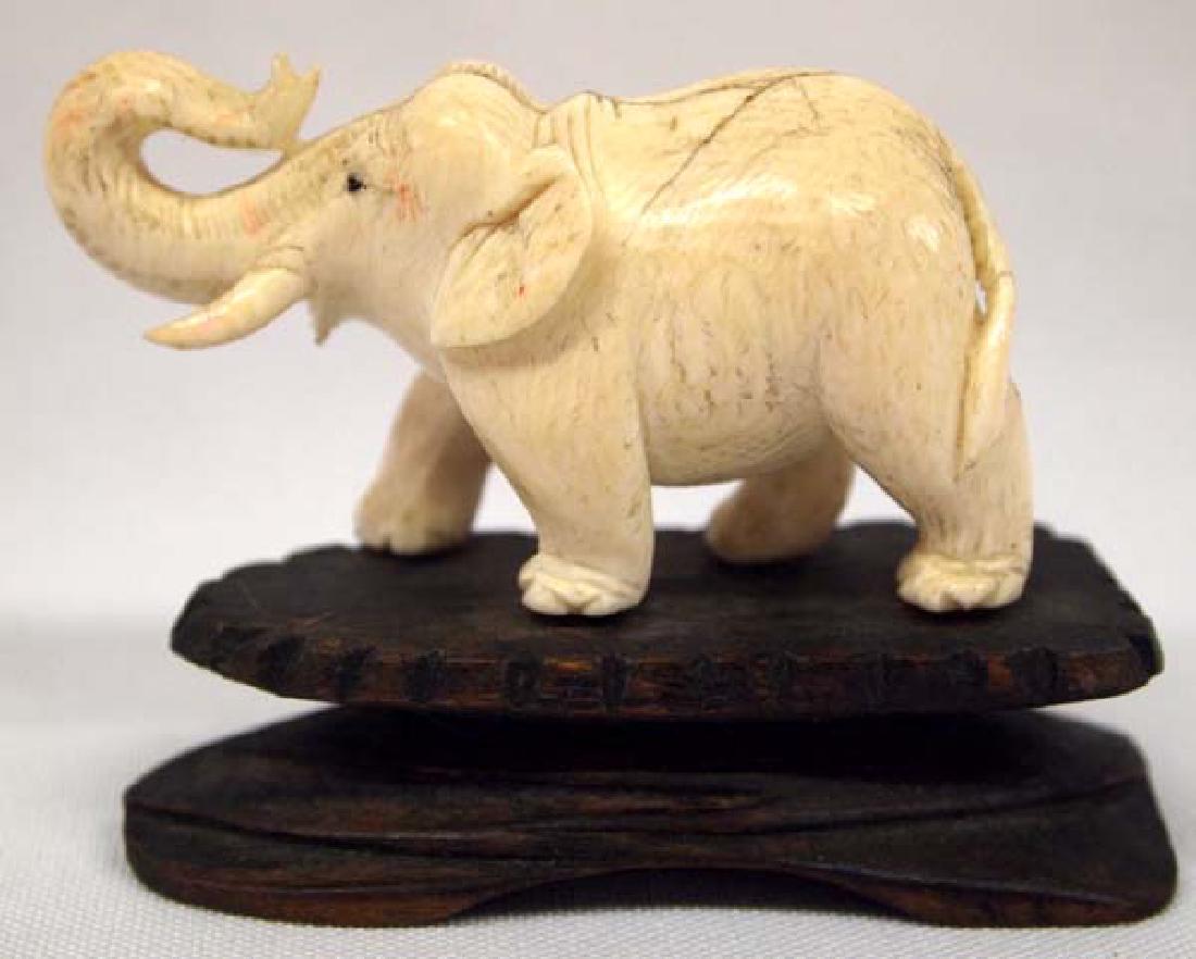 Carved Ivory Elephant on Wood Base