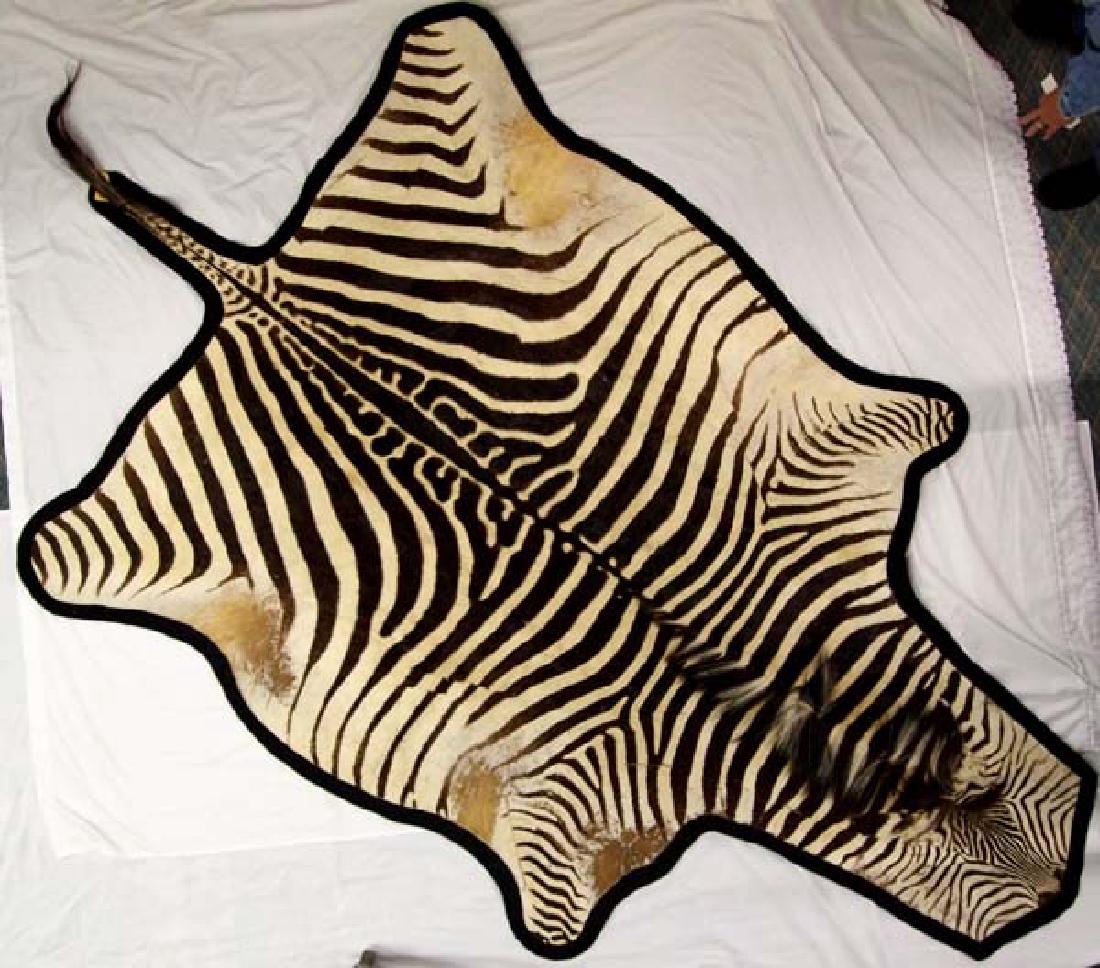 Full Sized Authentic Botswana Africa Zebra Rug (1 of 4)