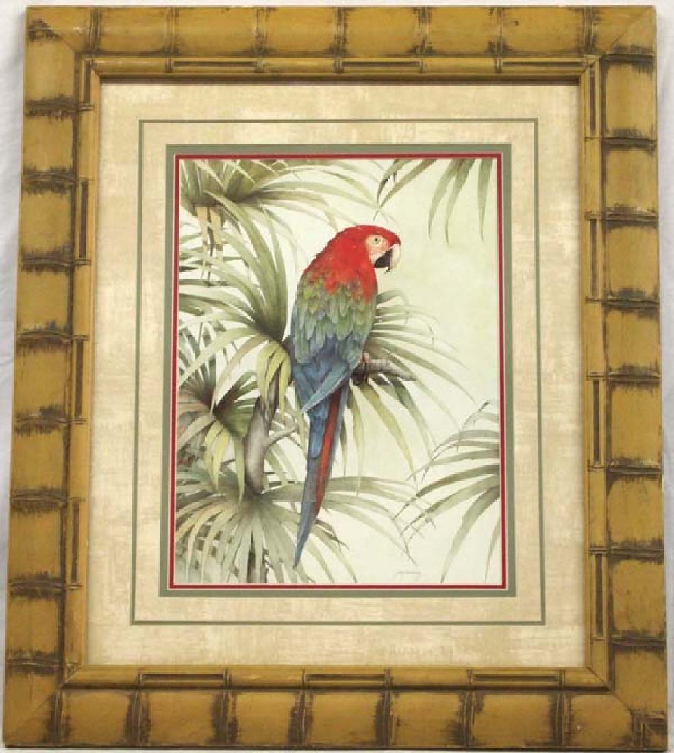 Framed Parrot Print by Jean Cassady (1 of 2)