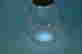 item-136905032=6