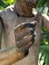 19th C Santos Carved Wood Figurine - 8
