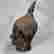 item-79535211=4