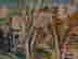 item-91447051=4