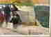 item-129313361=3