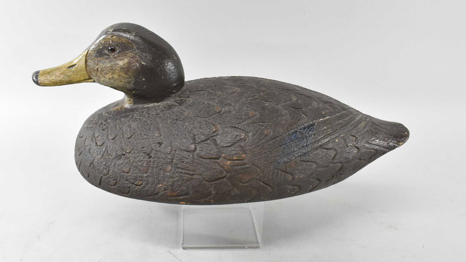 Black Duck Decoy by Dick Shelter 1940, Michigan: Black Duck decoy by Dick Shelter, highly detail carved feathers, glass eye, some minor paint loss, age crack down back, tagged Dick Shelter #551, 1940 Michigan. Dimensions 14" long x 5 1/2" tall x 7"