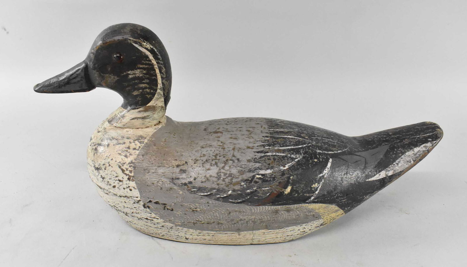 Northern Pintail Drake Decoy by Wm Lane: Northern Pintail drake decoy by Wm Lane, repaint by Charles Moore with his feather combing technique, glass eyes, hollow, general paint wear. Dimensions of 14" long x 7" tall x 5" wide.